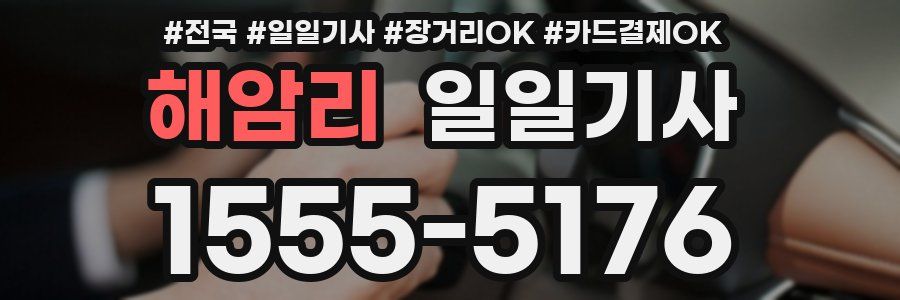 해암리 일일기사