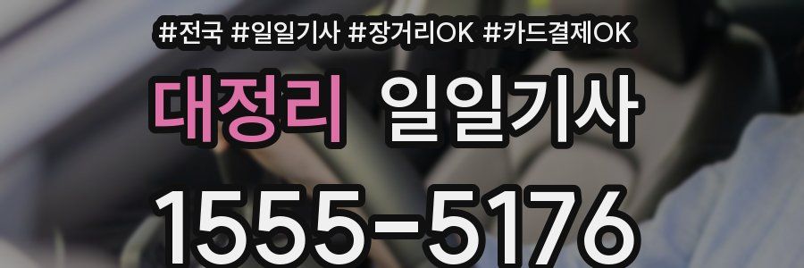 대정리 일일기사