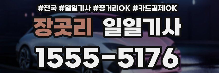 장곳리 일일기사