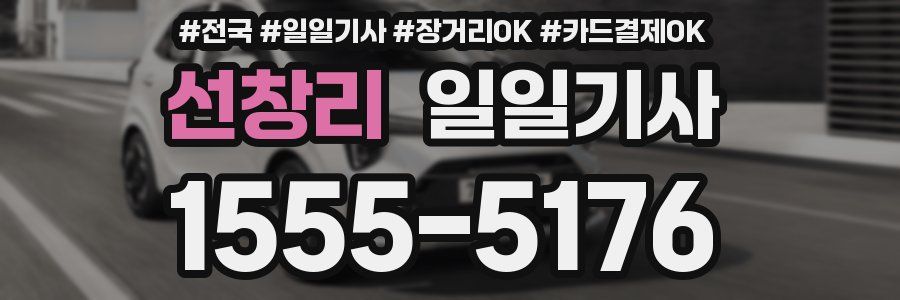 선창리 일일기사