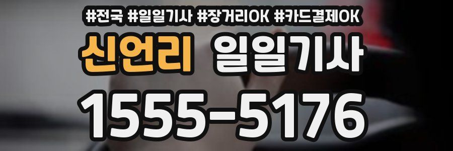 신언리 일일기사