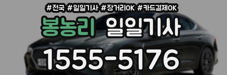 봉농리 일일기사