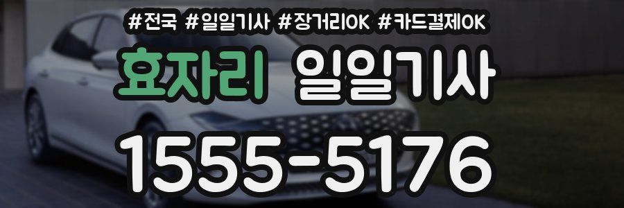 효자리 일일기사