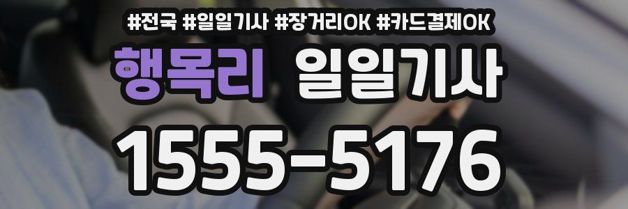 행목리 일일기사