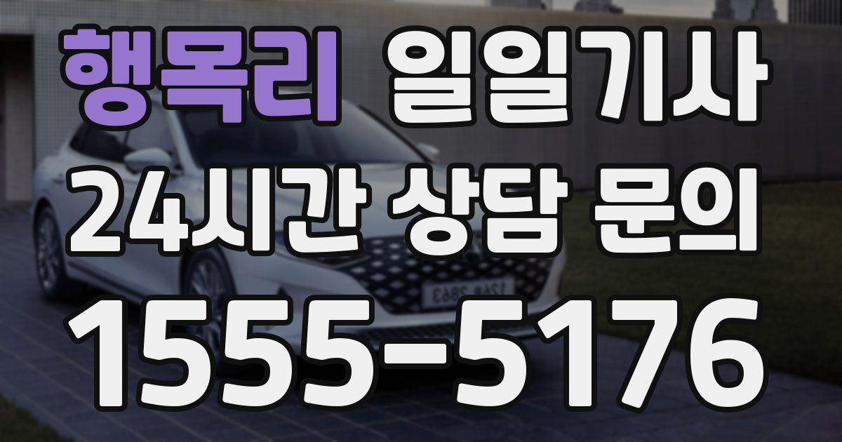 일일대리기사