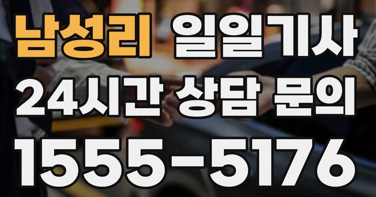 일일대리기사