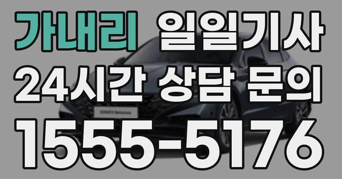 일일대리기사