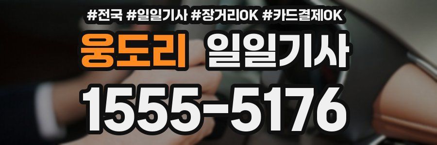 웅도리 일일기사