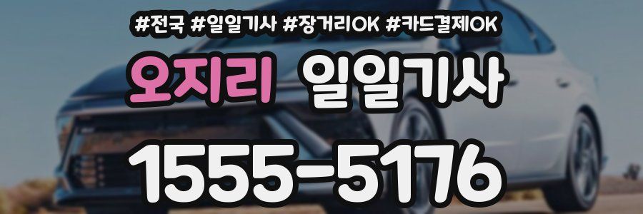 오지리 일일기사