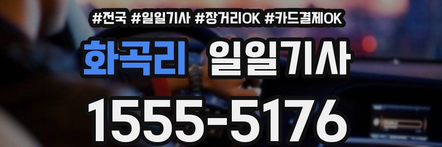 화곡리 일일기사