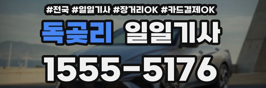 독곶리 일일기사