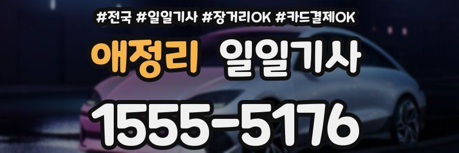 애정리 일일기사