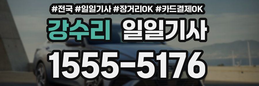 강수리 일일기사