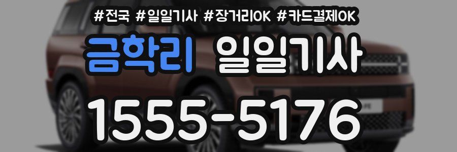 금학리 일일기사