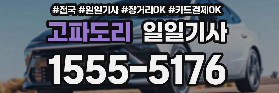 고파도리 일일기사