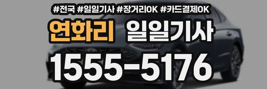 연화리 일일기사