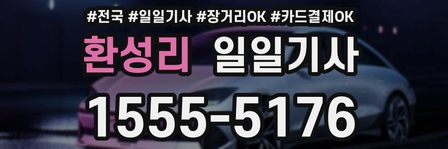 환성리 일일기사