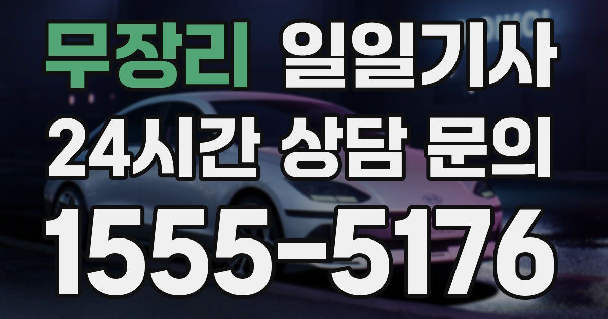 일일대리기사