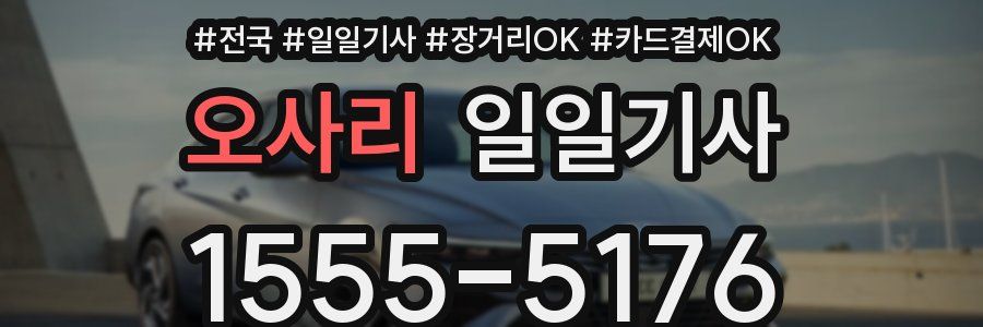 오사리 일일기사