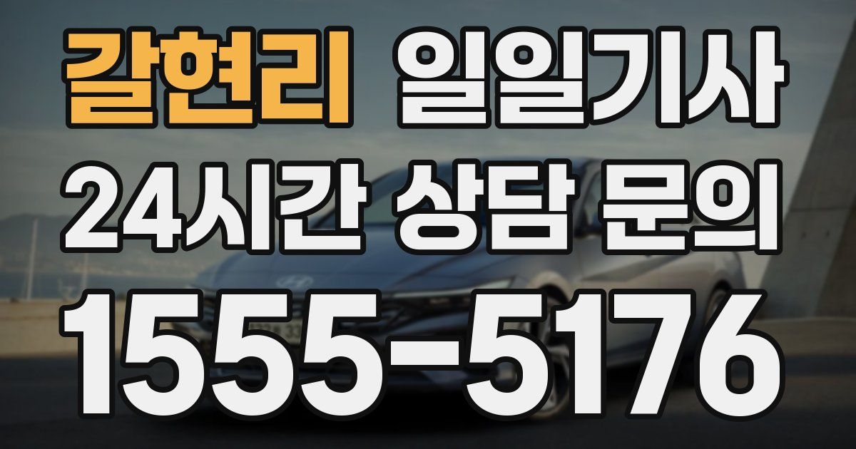 일일대리기사