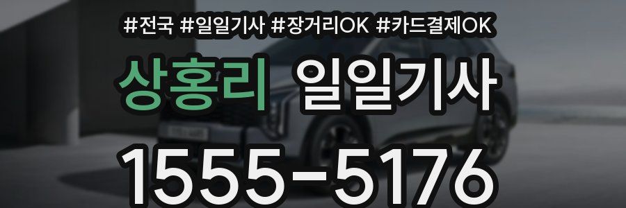 상홍리 일일기사