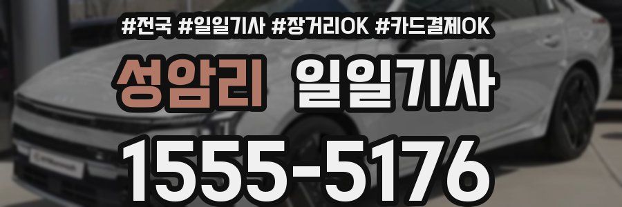 성암리 일일기사