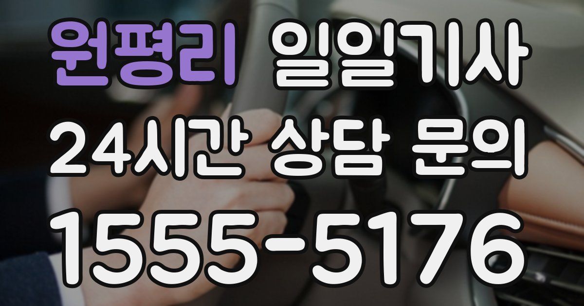 일일대리기사