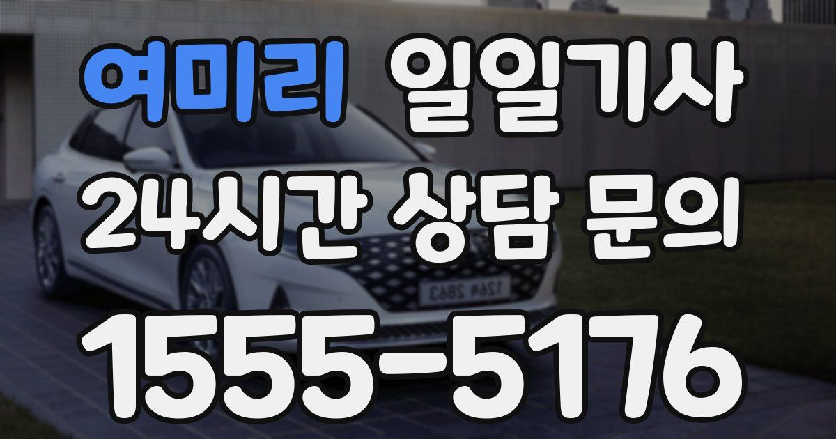 일일대리기사