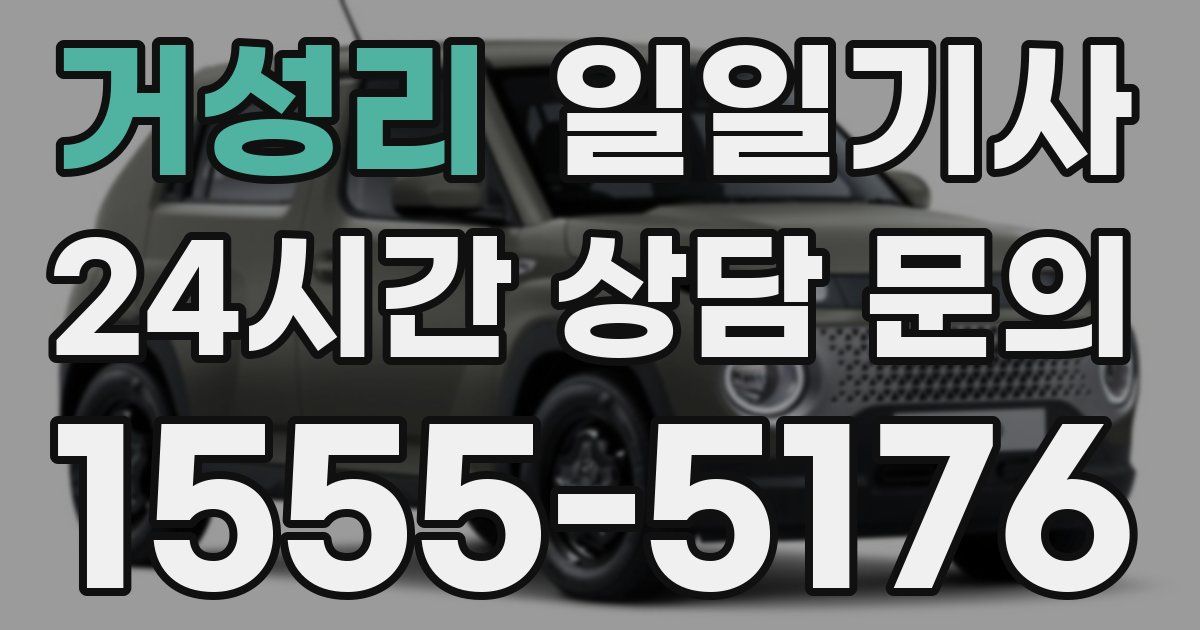 일일대리기사