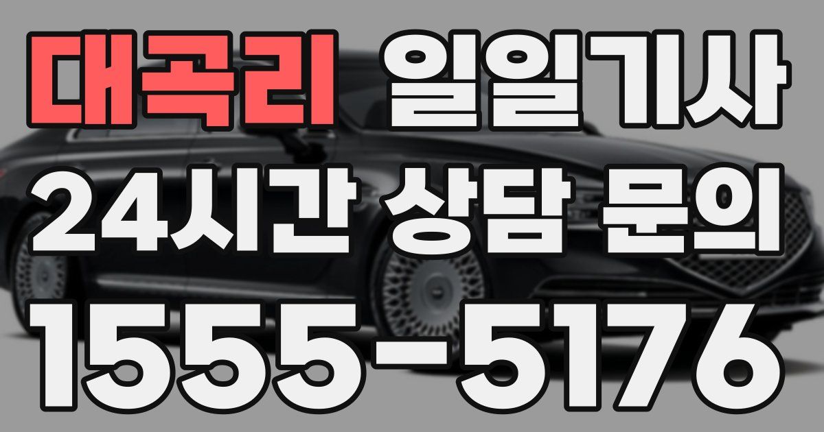 일일대리기사