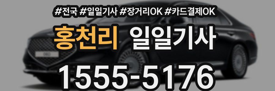 홍천리 일일기사