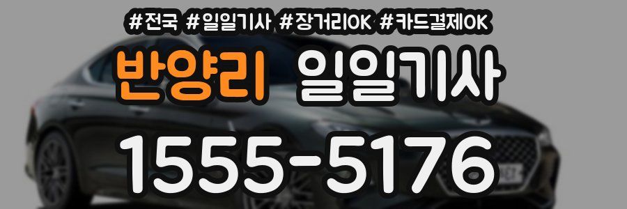 반양리 일일기사