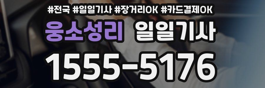 웅소성리 일일기사