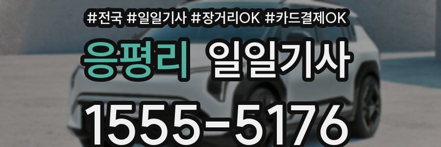 응평리 일일기사