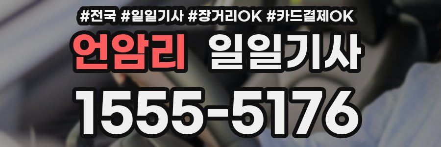 언암리 일일기사