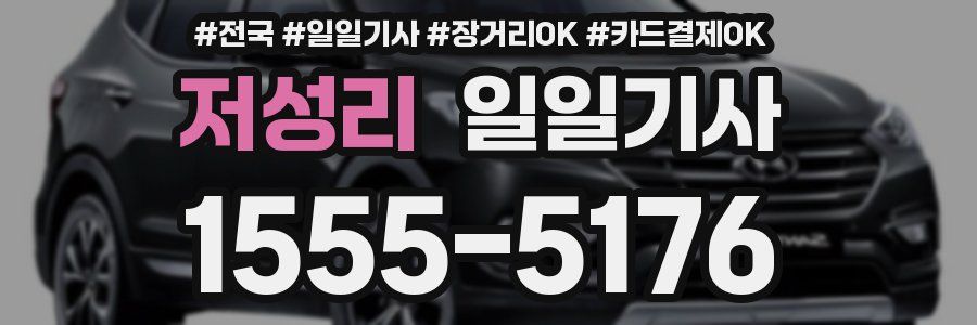 저성리 일일기사