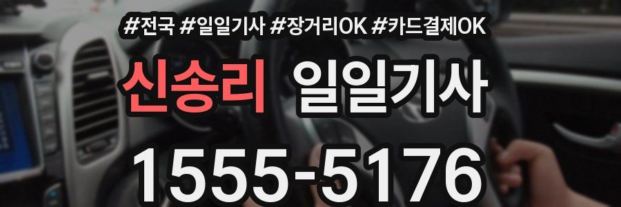 신송리 일일기사