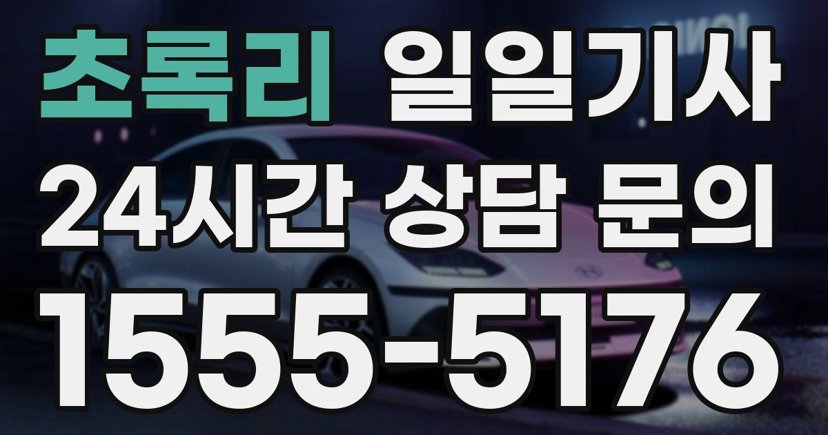 일일대리기사