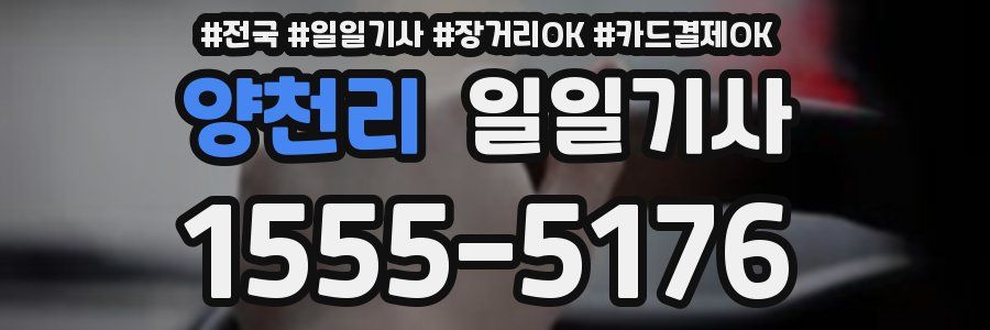 양천리 일일기사