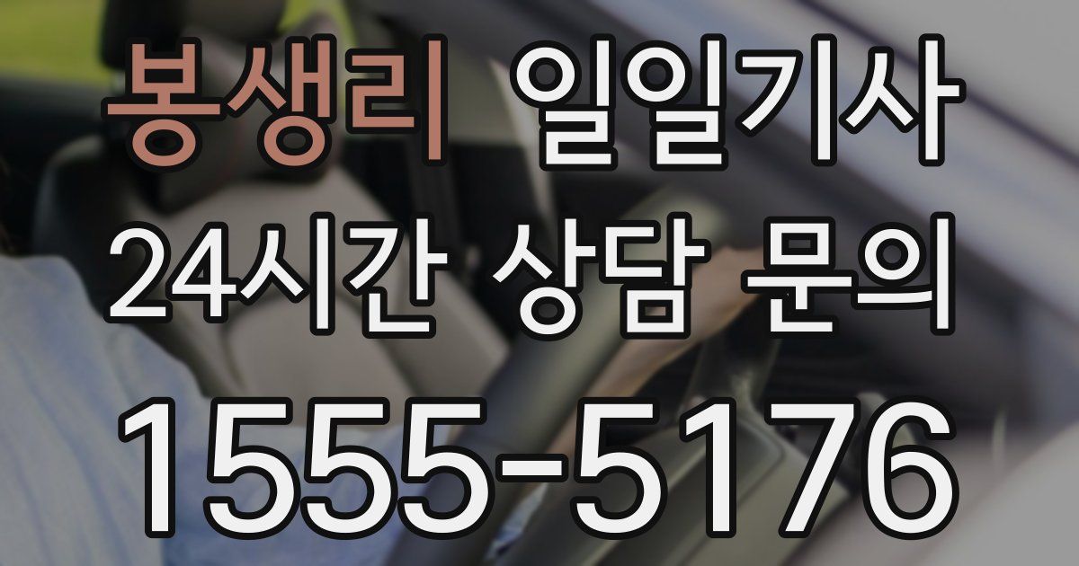 일일대리기사