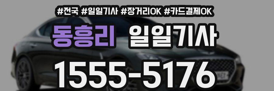 동흥리 일일기사