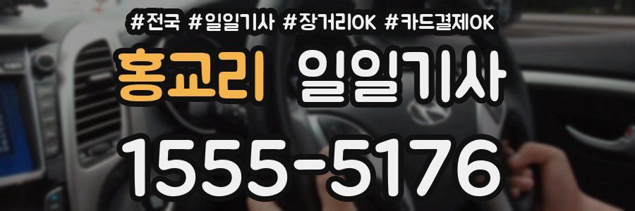 홍교리 일일기사