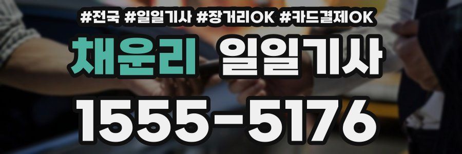 채운리 일일기사