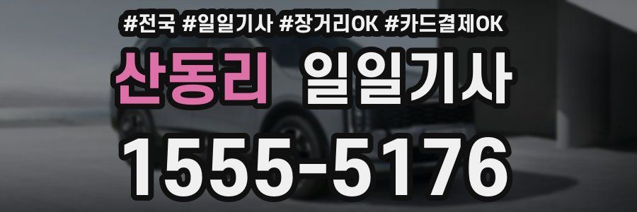 산동리 일일기사