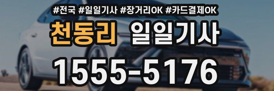 천동리 일일기사