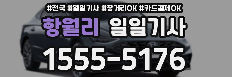 항월리 일일기사