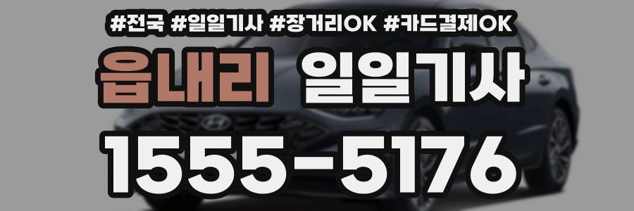 읍내리 일일기사