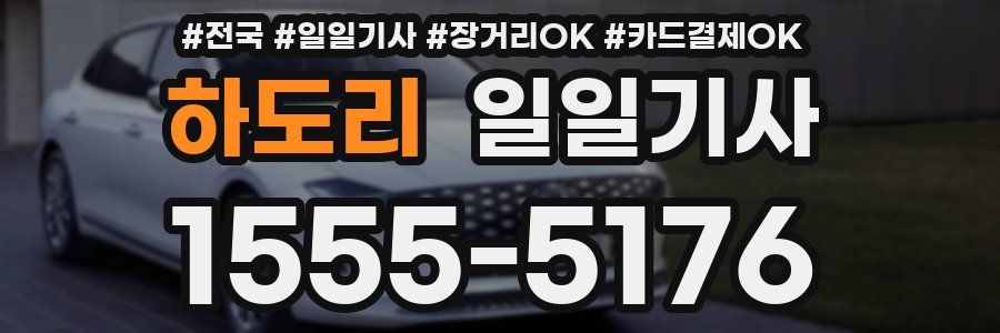 하도리 일일기사