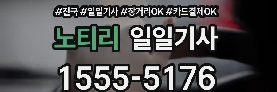 노티리 일일기사