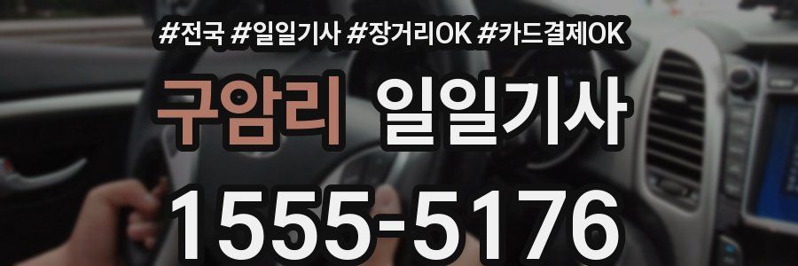 구암리 일일기사